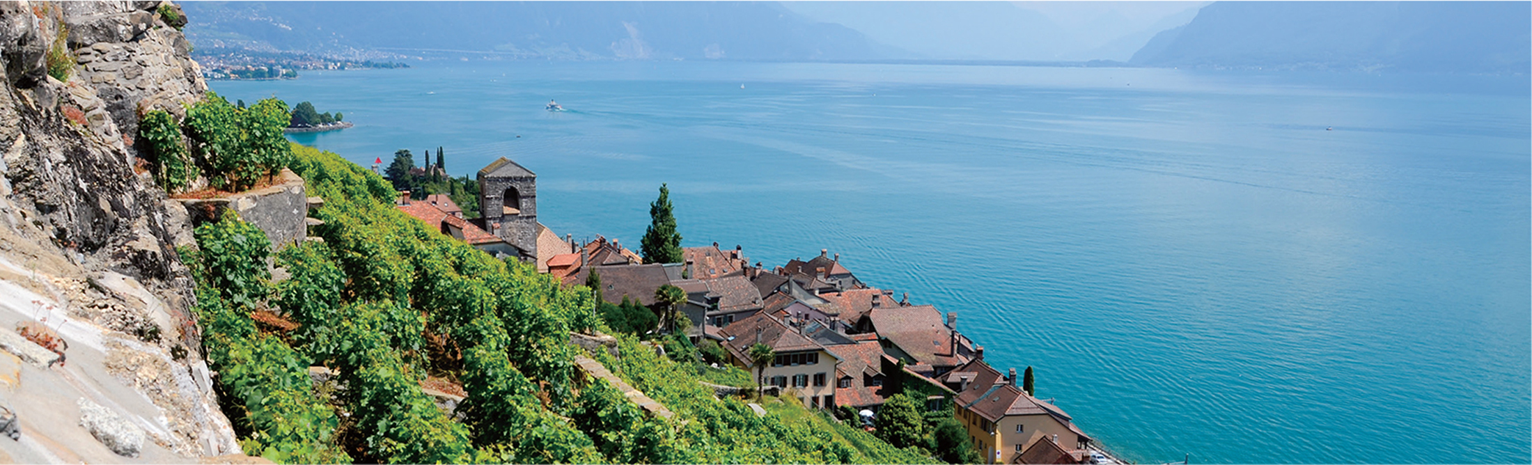 シャスラの歴史