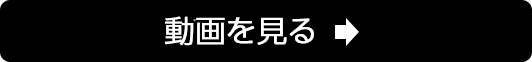 動画を見る