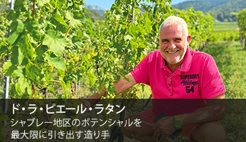 ドメーヌ・ド・ラ・ピエール・ラタン