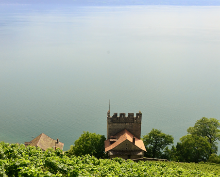 レ・フレール・デュボワ