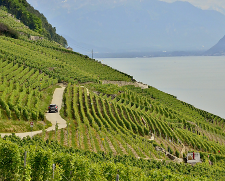 レ・フレール・デュボワ