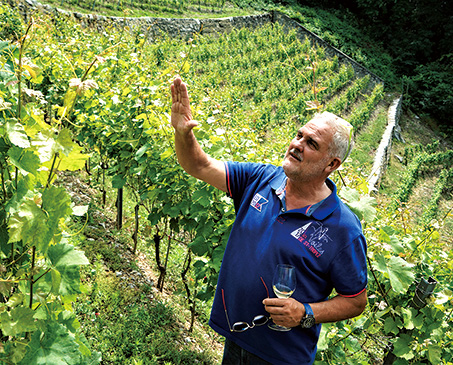 ドメーヌ・ド・ラ・ピエール・ラタン